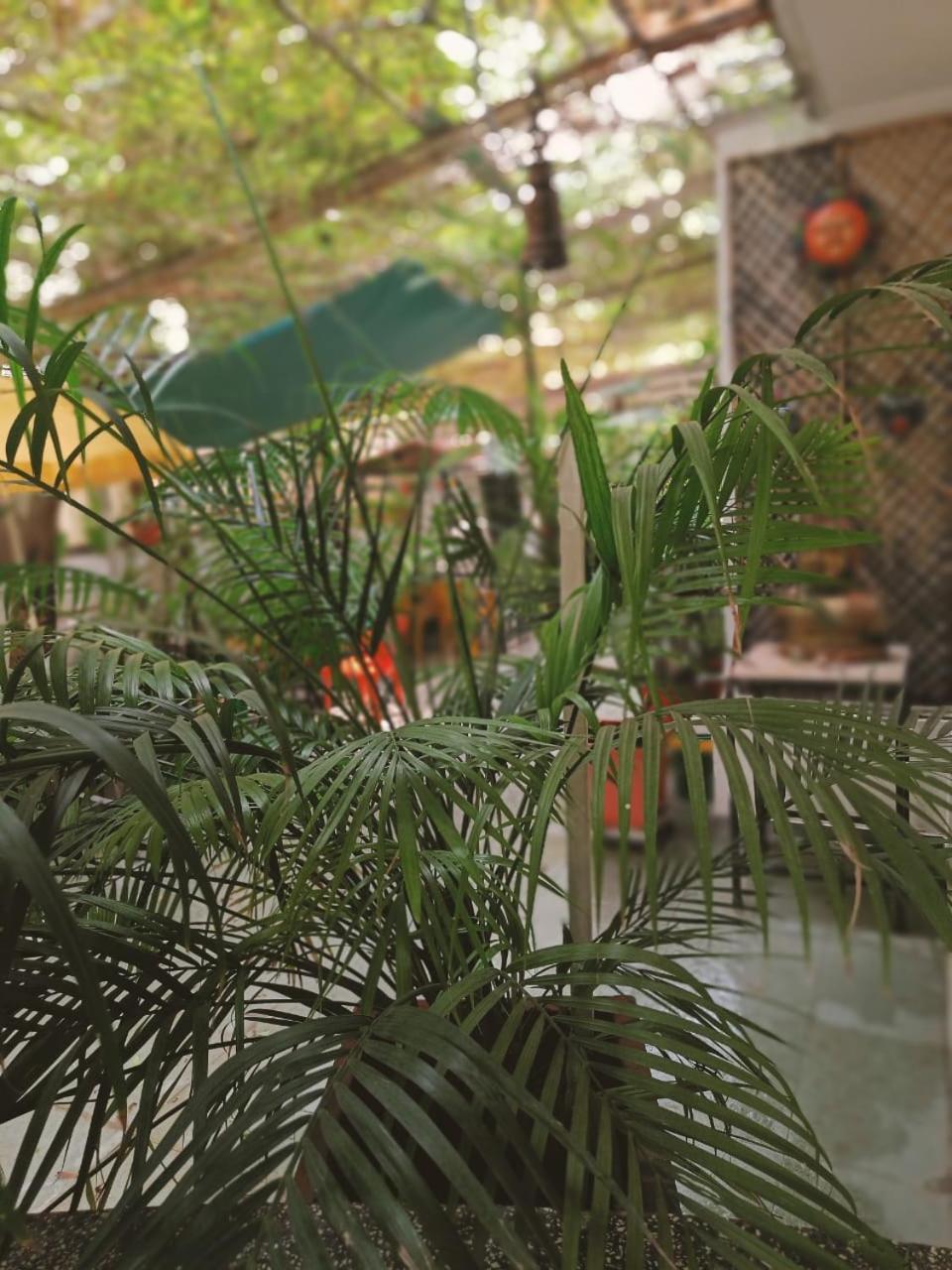 Srinekatan Heritage Villa Homestay Αχμπανταμπάντ Εξωτερικό φωτογραφία