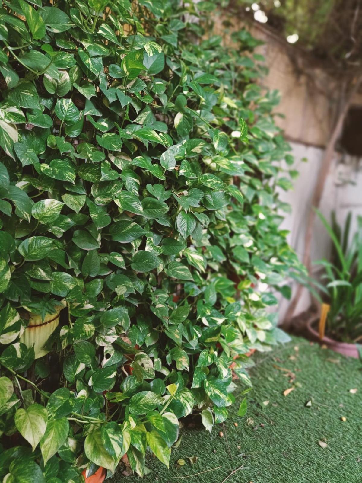 Srinekatan Heritage Villa Homestay Αχμπανταμπάντ Εξωτερικό φωτογραφία